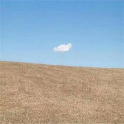 美国副总统万斯或将前往巴基斯坦参加伊朗和平谈判