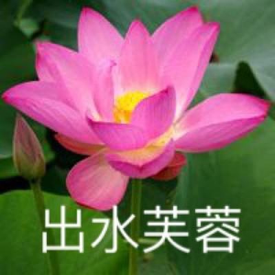 乐发4安装正版最新版v5.2.6.2截图0