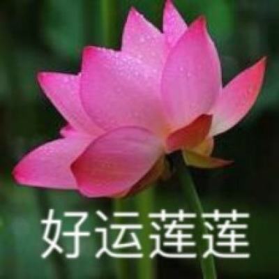 乐鱼体育备用网址
