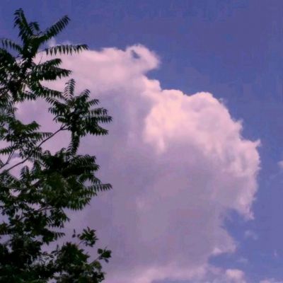 天马体育APP(官方)综合娱乐APP下载