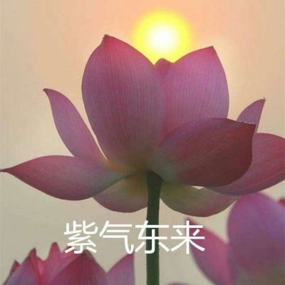 大众战争