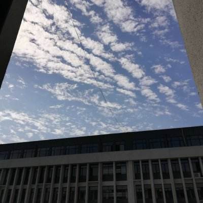 澳澳新葡京(中国)体育官方网站