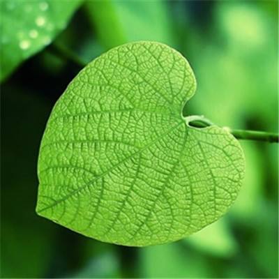 华夏中证人工智能主题ETF(515070)已连续6日遭遇资金净赎回，区间净流出额3.59亿元