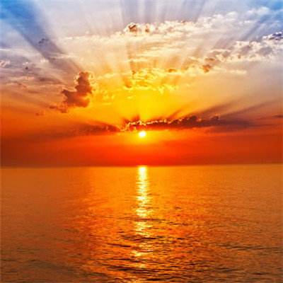 宇树科技冲刺上市