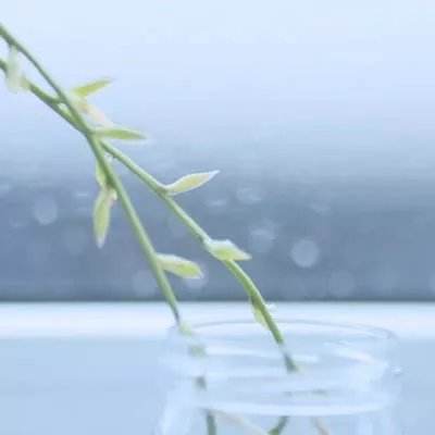 锐捷网络EDN方案正式发布 园区网...