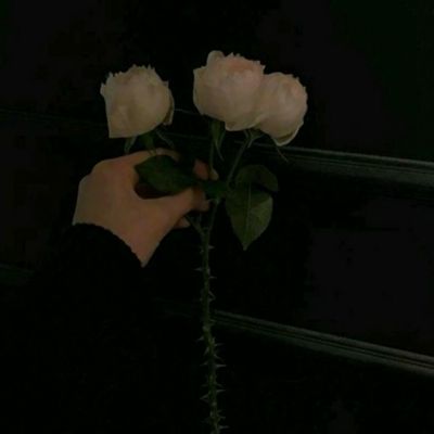 急速体育娱乐APP/手机APP下载