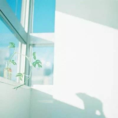 愤怒的小鸟2最新破解版