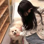 恭喜!中国排球圈又一冠军情侣诞生,郎才女貌超般配