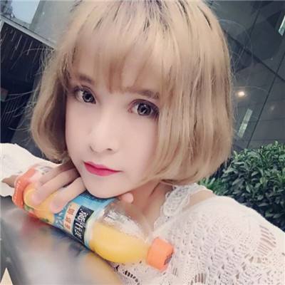 大海贼探险物语破解版